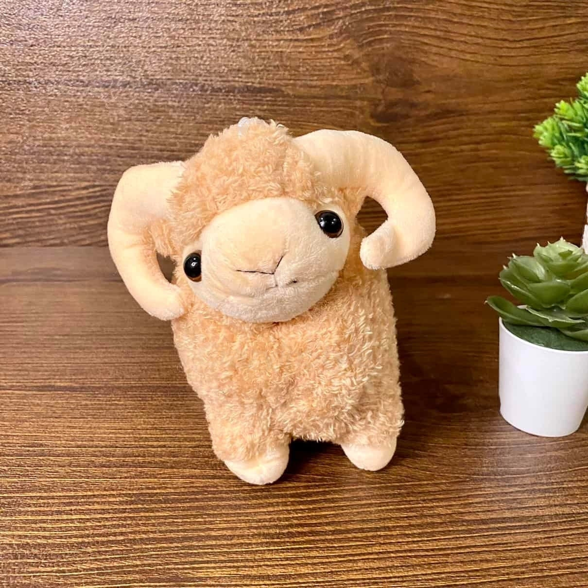 Babo Sheep